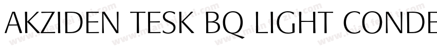 AKZIDEN TESK BQ LIGHT CONDENSED字体转换